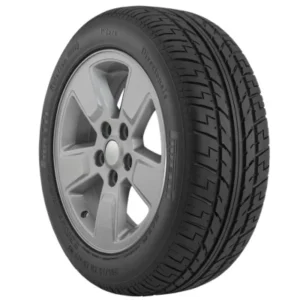 Pirelli P ZERO System Dir 205/55ZR16 91Y