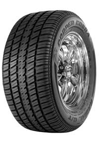 co_cobra_radial_gt_l-1.jpg